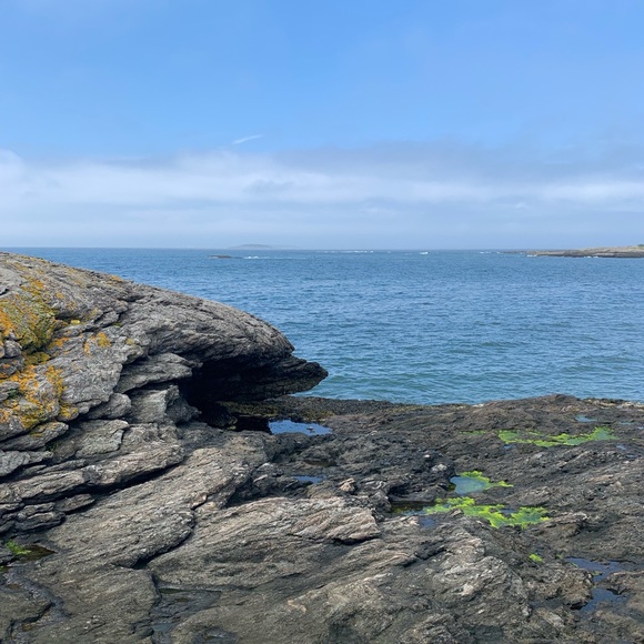 Meet your Posher, Claire - Picture 1 of 1